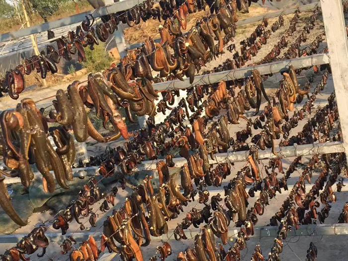 壹号娱乐APP成品