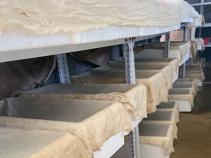 壹号娱乐APP成品