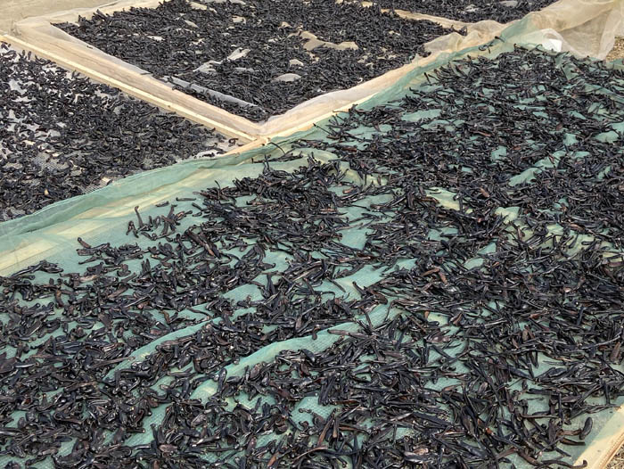 壹号娱乐APP成品