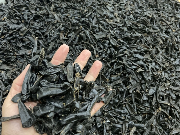 壹号娱乐APP成品