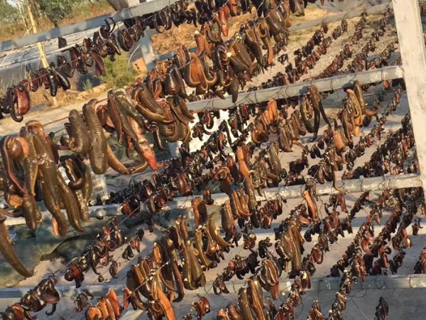 壹号娱乐APP成品