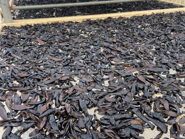 壹号娱乐APP成品