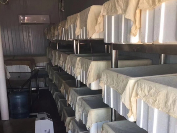 壹号娱乐APP卵茧