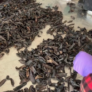 壹号娱乐APP成品