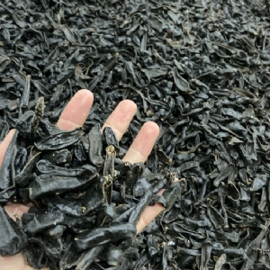 壹号娱乐APP成品