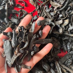 壹号娱乐APP成品