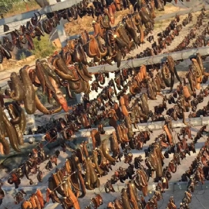 壹号娱乐APP成品