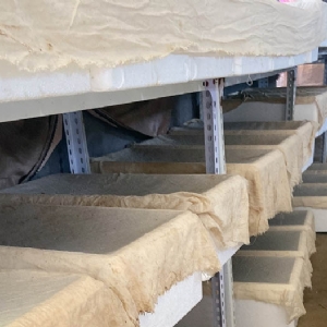 壹号娱乐APP成品