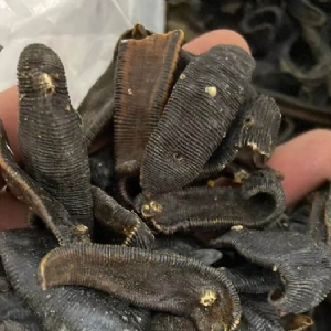 壹号娱乐APP成品