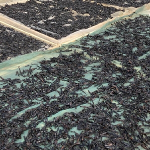 壹号娱乐APP成品