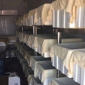 壹号娱乐APP卵茧