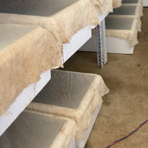 壹号娱乐APP小苗