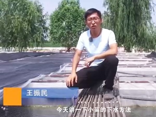 壹号娱乐APP小苗的下水要领