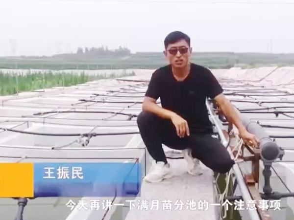 壹号娱乐APP满月苗的注重事项