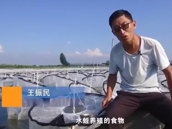 养殖治理.食物投放