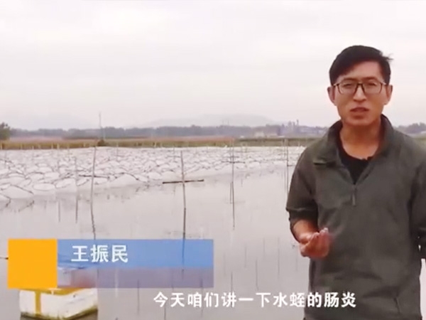 壹号娱乐APP胀气型肠炎爆发纪律及防治要领