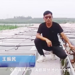 壹号娱乐APP满月苗的注重事项