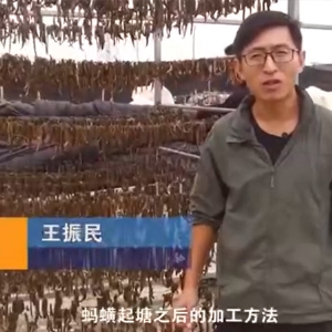 壹号娱乐APP加工要领