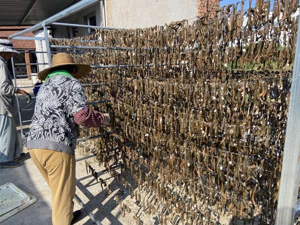 壹号娱乐APP成品